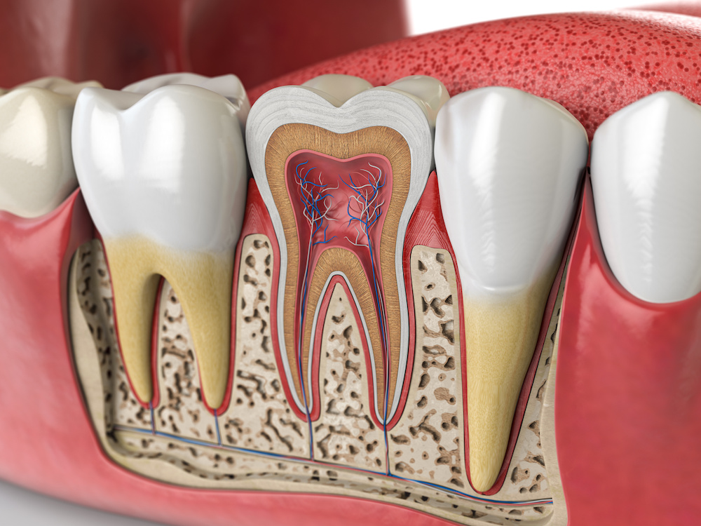 歯の神経を残す治療とは？覆髄法（ふくずいほう）という選択肢